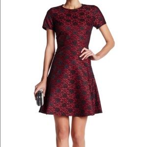 Betsey Johnson Flocked Lace Fit Flare Dress 8 NWT